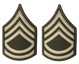 AGSU CHEVRONS E7 Sergeant First Class